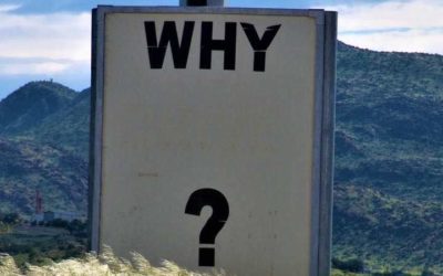 Découvrir son WHY, avec Marie Polla, facilitatrice en intelligence collective